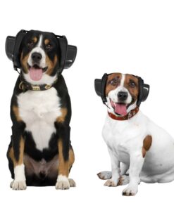 Two dogs wearing black BOLLSEN Earplugs Hearing Protection, one black and white, one brown and white.