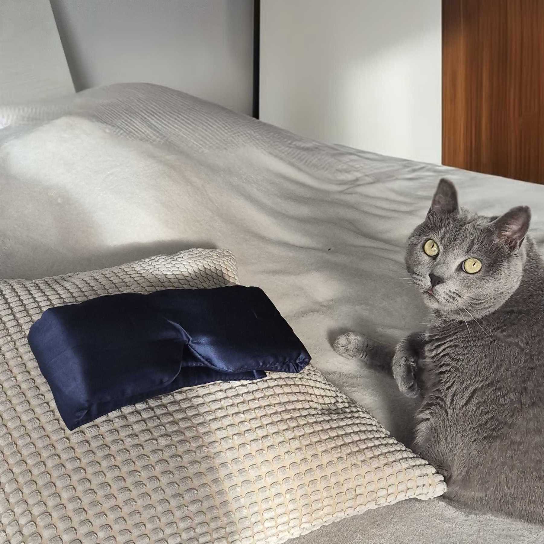 Deep Sleep Mask from BOLLSEN with a grey cat on the bed