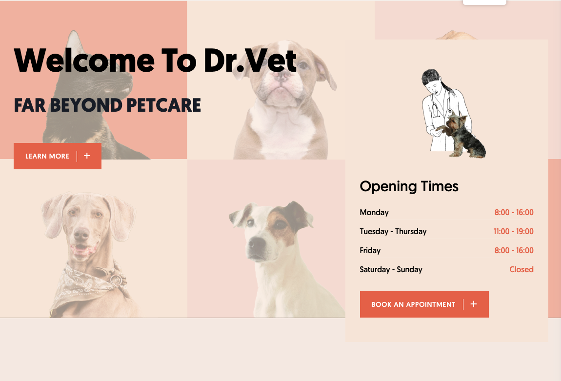 Welcome to Dr. Vet – veterinary clinic homepage featuring dogs and a cat, slogan 'Far Beyond Petcare', clinic opening hours Monday to Friday, and a 'Book an Appointment' button."