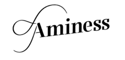BOLLSEN business client logo