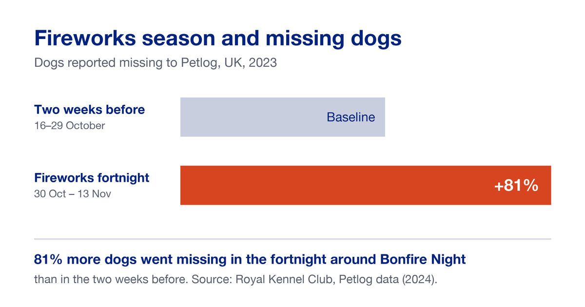 Infographic showing 81% more dogs were reported missing to Petlog in the fortnight around Bonfire Night (30 October to 13 November 2023) than in the two weeks before