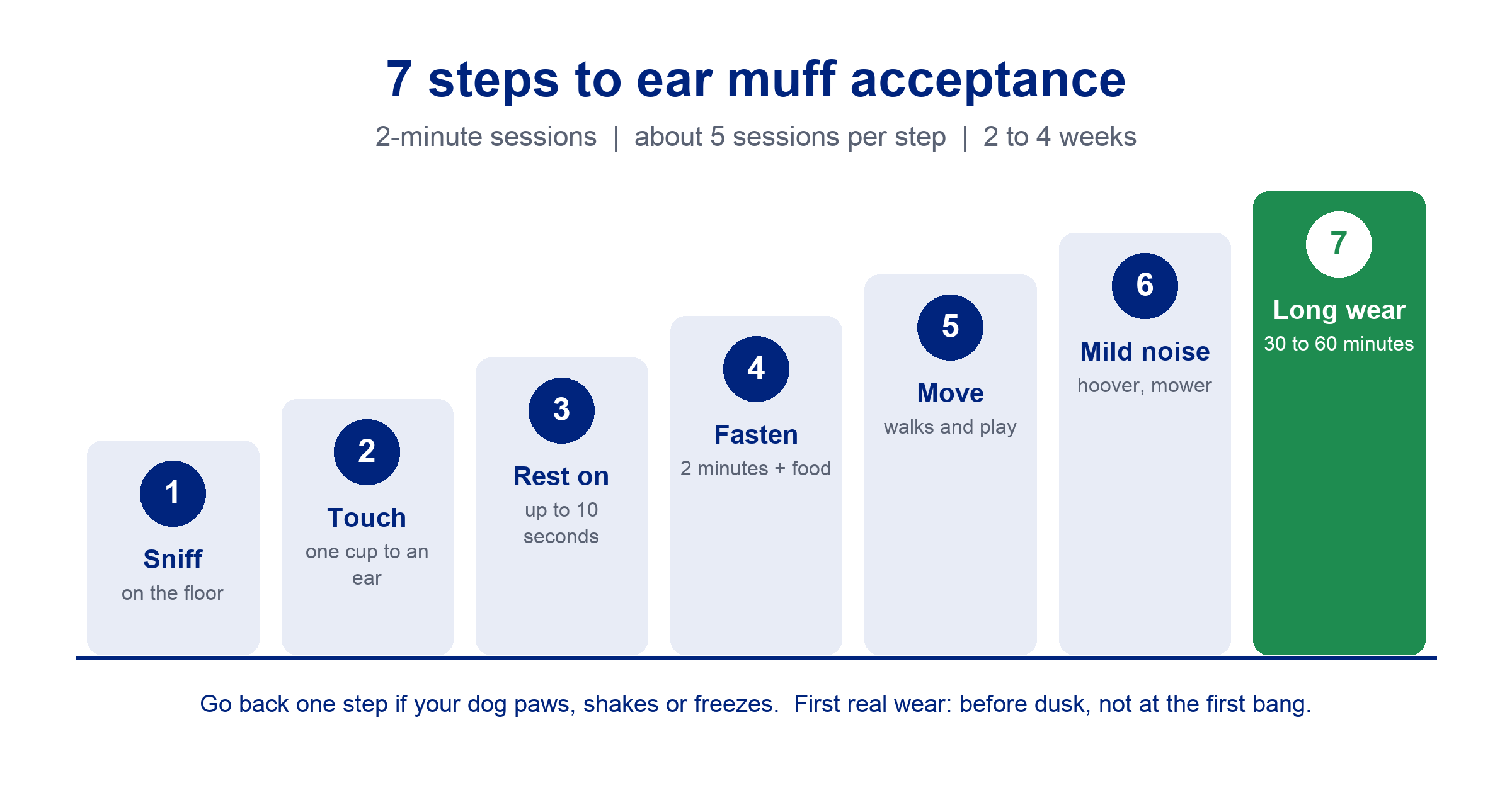 Infographic of the 7-step plan to get a dog to wear ear muffs: sniff, touch, rest on for up to 10 seconds, fasten for 2 minutes with food, walks and play, mild noise, then 30 to 60 minutes of wear, using 2-minute sessions over 2 to 4 weeks