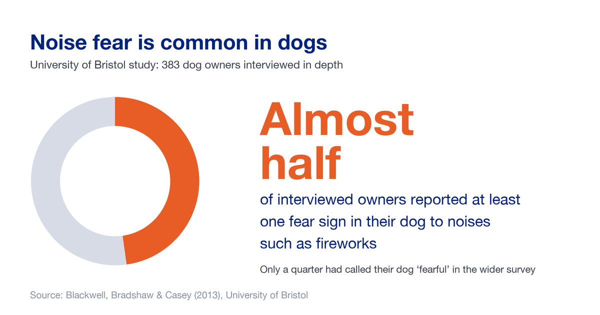 Infographic showing that almost half of owners interviewed in a University of Bristol study reported at least one fear sign in their dog to noises such as fireworks